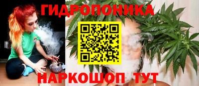 шишки Севастополь
