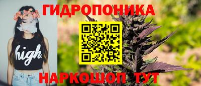 спиды Свободный