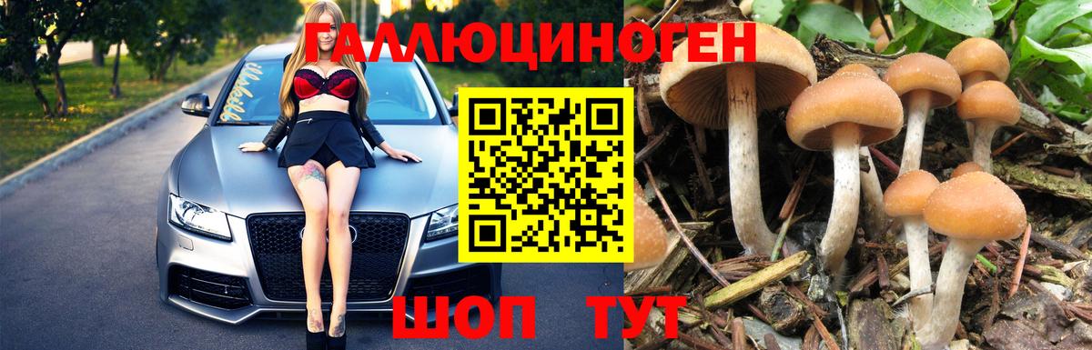 Галлюциногенные грибы прущие грибы Новороссийск