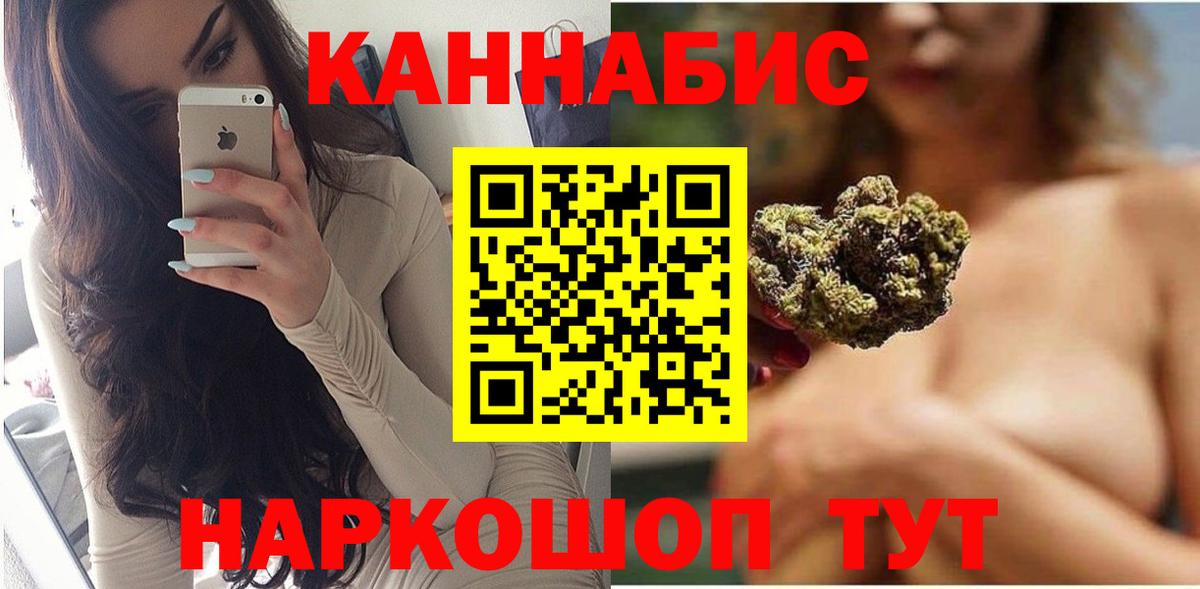 Каннабис сатива Новороссийск